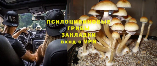 PSILOCYBIN Бронницы